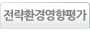 전략환경평가